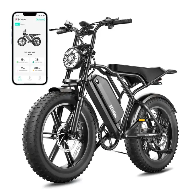 TST R004 Fat Tire